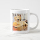 Recherche de chien de jouet tasses Mignon