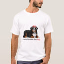 Recherche de bernese mountain dog Bernais