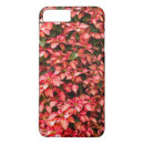 Recherche de poinsettia de noël iphone coques Poinsettias