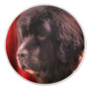 Recherche de chien blanc boutons et poignées de porte Animal