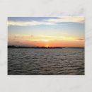 Recherche de mangroves cartes postales Voyage