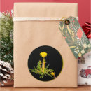 Recherche de pissenlit autocollants Dandelion