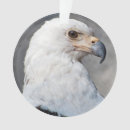 Zoek naar eagle ornamenten Patriotic