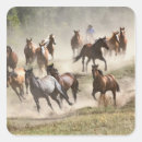 Recherche de montana autocollants Cowboy