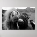 Zoek naar veel afbeeldingen posters Grappig