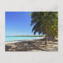 Recherche de tranquille cartes postales Palmier