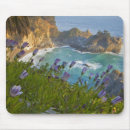 Recherche de scenics tapis souris Plage