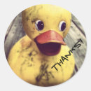 Recherche de le caoutchouc autocollants Canard en caoutchouc