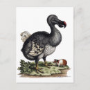Zoek naar uitgestorven dieren posters Geschiedenis