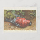 Recherche de noël de victorian Xmas