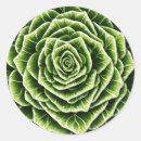 Recherche de motif de légume autocollants Vert