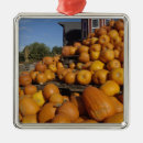 Zoek naar schuur ornamenten Adam jones