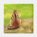 Recherche de inspirez magnets Animal