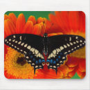 Recherche de papillon jaune et noir tapis souris Bleu