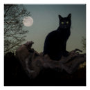 Zoek naar kat in boom posters Halloween