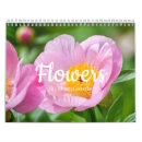 Recherche de fleurs calendriers Photographie de la nature