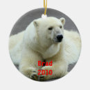 Recherche de ours blancs ornements Animaux