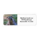 Recherche de affranchissement photographie Animaux