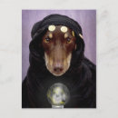 Recherche de fortune teller cartes postales Voyant de fortune