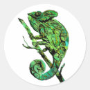 Recherche de caméléons autocollants Nature