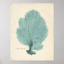 Zoek naar zee posters Illustratie