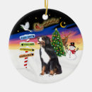 Zoek naar berner ornamenten Kerstboom