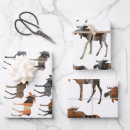 Recherche de liberté papier cadeau Motif
