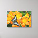 Zoek naar sluit canvas prints Dier