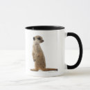 Recherche de suricate tasses Meerkat