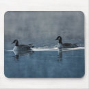 Recherche de le canada tapis souris Faune