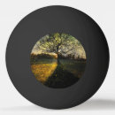 Recherche de coucher du soleil balles ping pong Arbre
