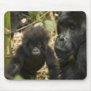 Recherche de adulte tapis souris Afrique