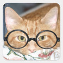 Recherche de intellectueel autocollants Intelligent