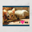 Recherche de aime cartes postales Chat