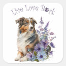 Recherche de chien berger australien autocollants Chiot