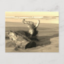 Recherche de flotteur cartes postales Plage