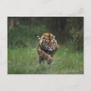 Recherche de charge cartes postales Nature
