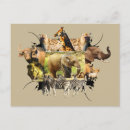 Recherche de faune africaine cartes postales Animal