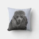 Recherche de caniche miniature coussins Dog
