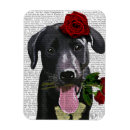 Recherche de fleur rouge magnets Rose