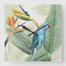 Zoek naar vogels klokken Kleurrijk