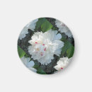 Recherche de pivoine magnets Botanique