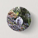 Zoek naar landbouw buttons Schapen