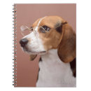 Recherche de lecture photographie Animaux domestiques