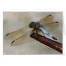 Recherche de mouche de dragon Jardin