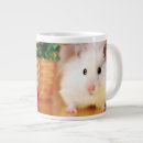 Recherche de capitales tasses Horizontal