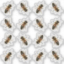 Zoek naar productverpakkingen Imker