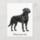 Recherche de labrador retriever cartes postales Noir