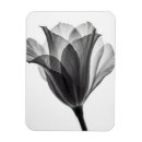 Recherche de serein magnets Floral
