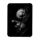 Recherche de escargots magnets Nature